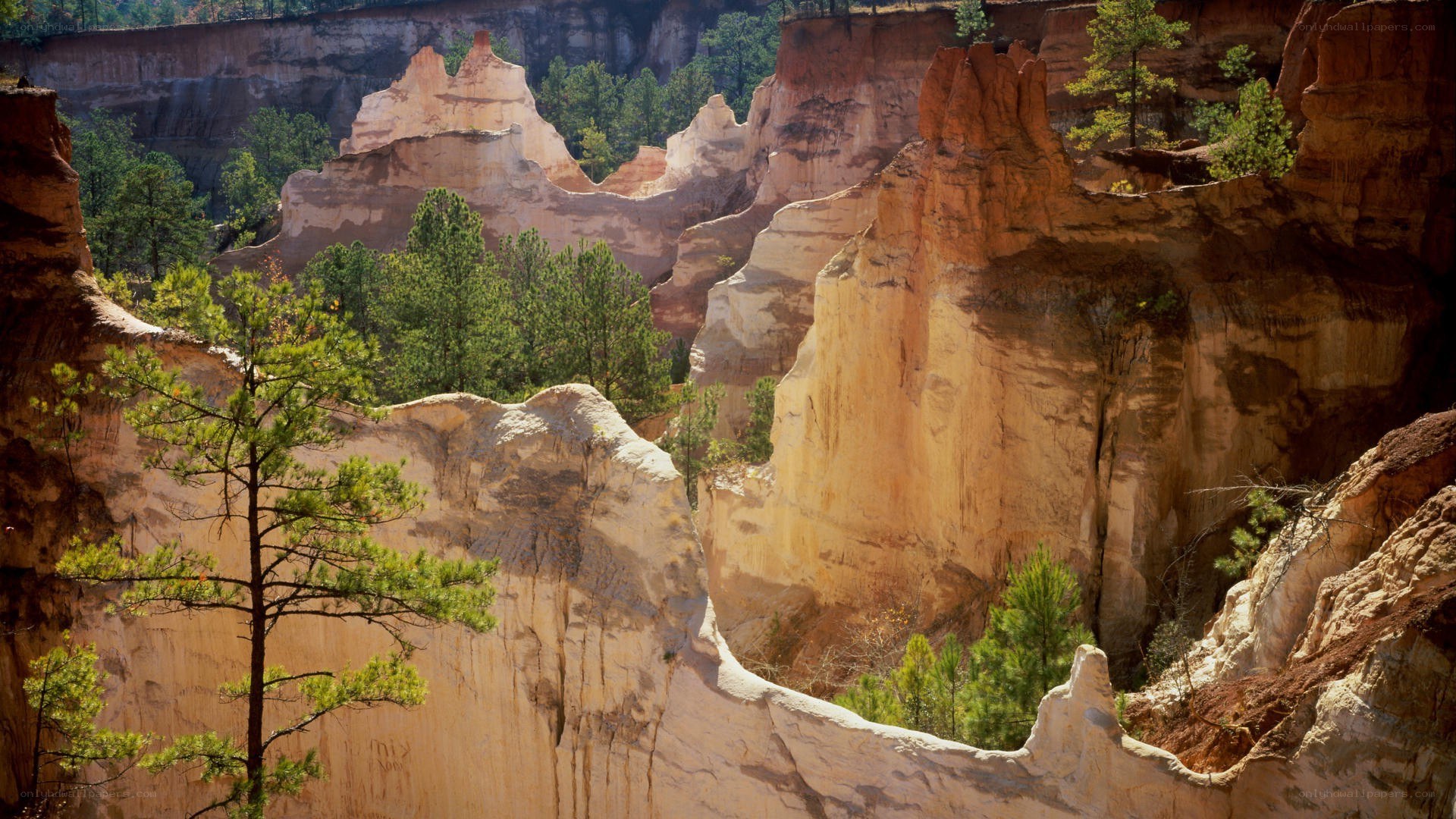 Red rock formations in canyon