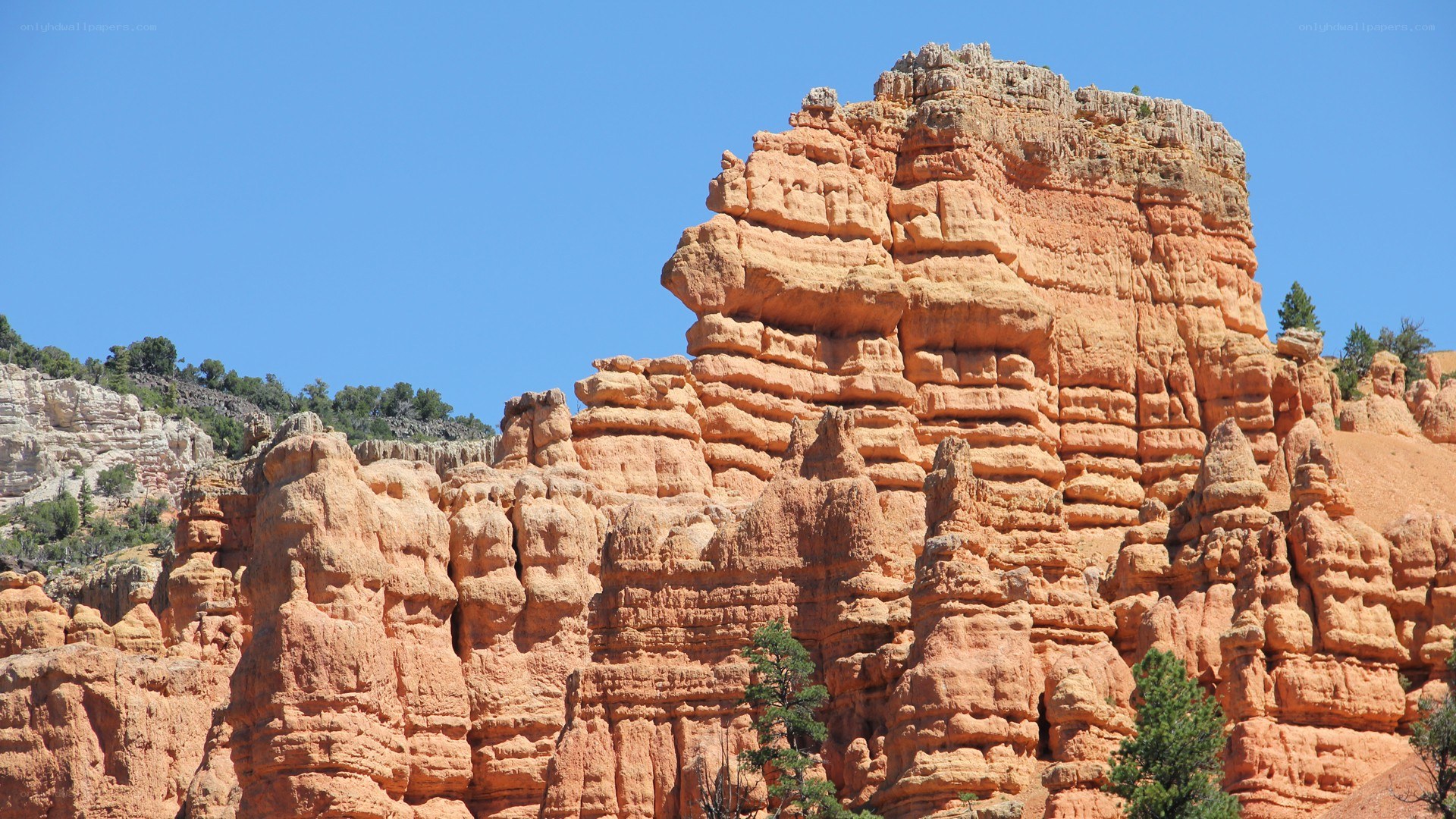 red rock formations in canyon