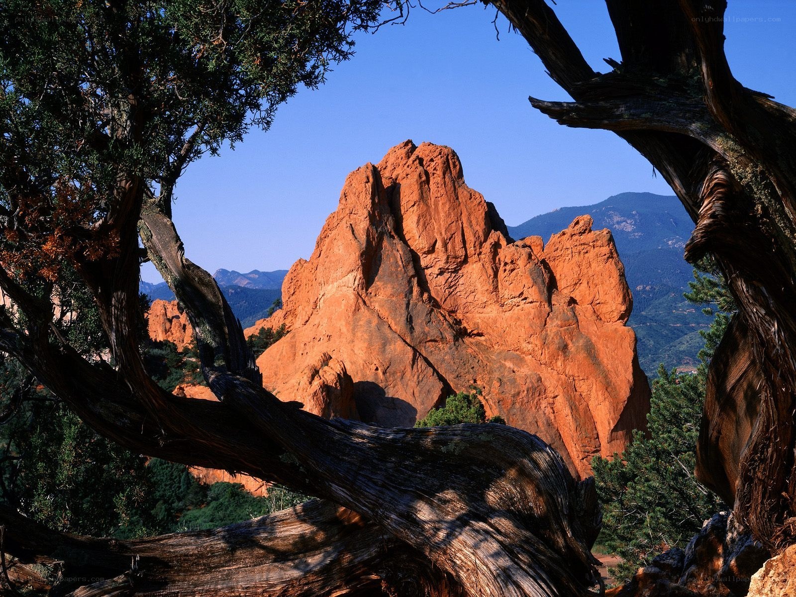 Red rock formations in Colorado