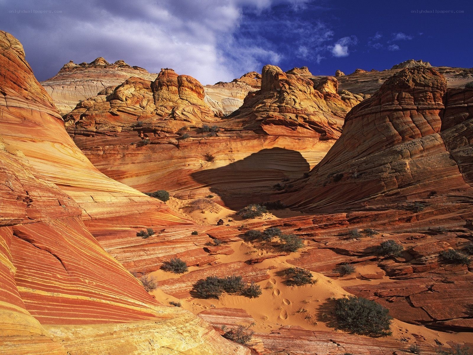 Red rock formations in desert