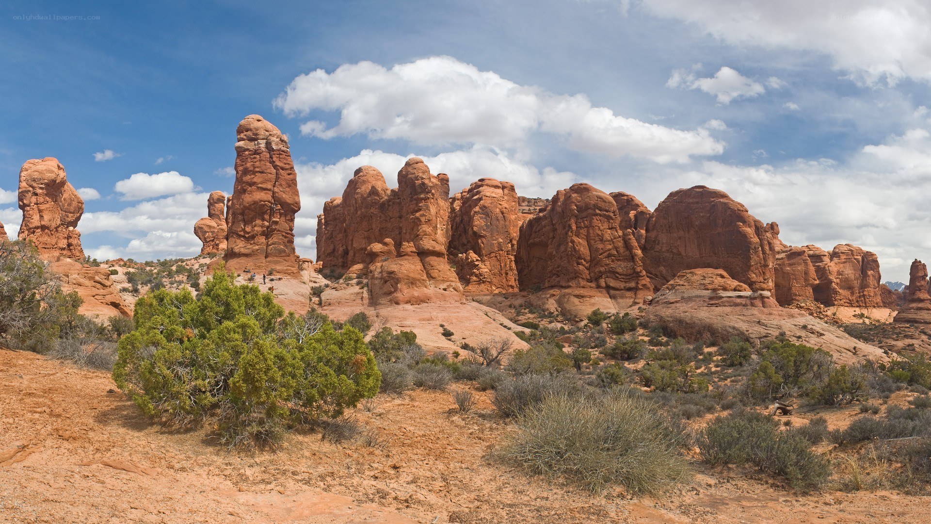 red rock formations in desert