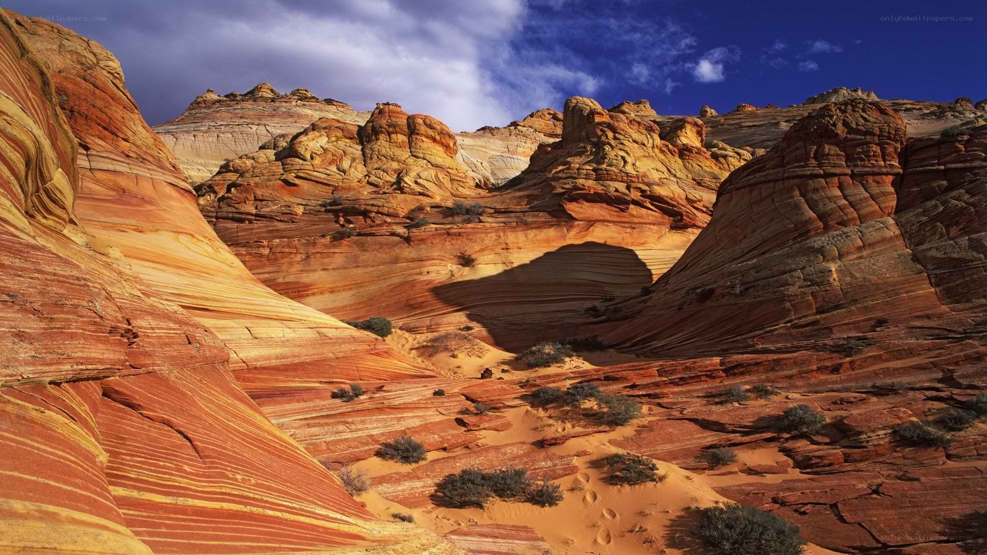 Red rock formations in desert