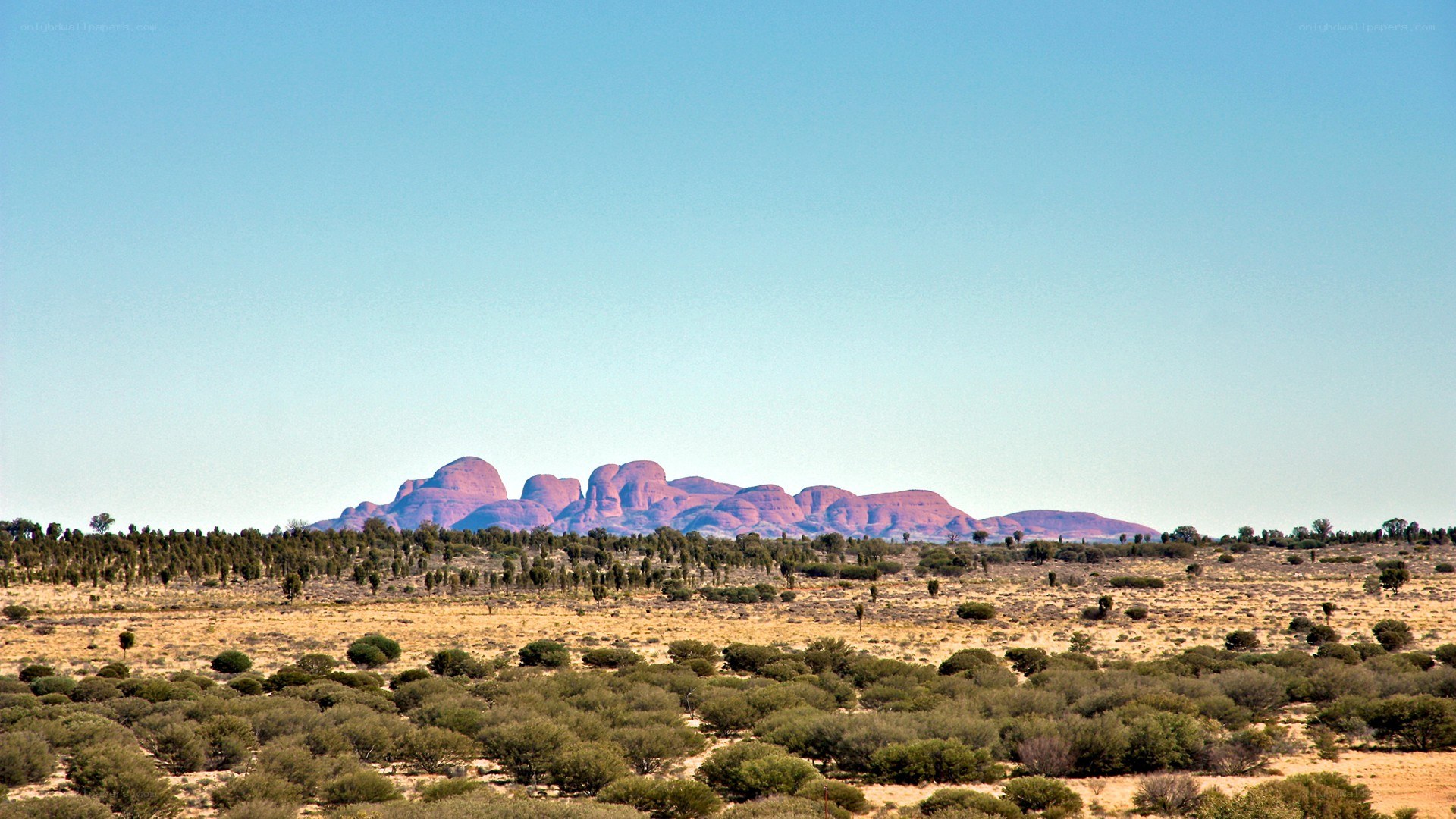 Red rock formations in desert