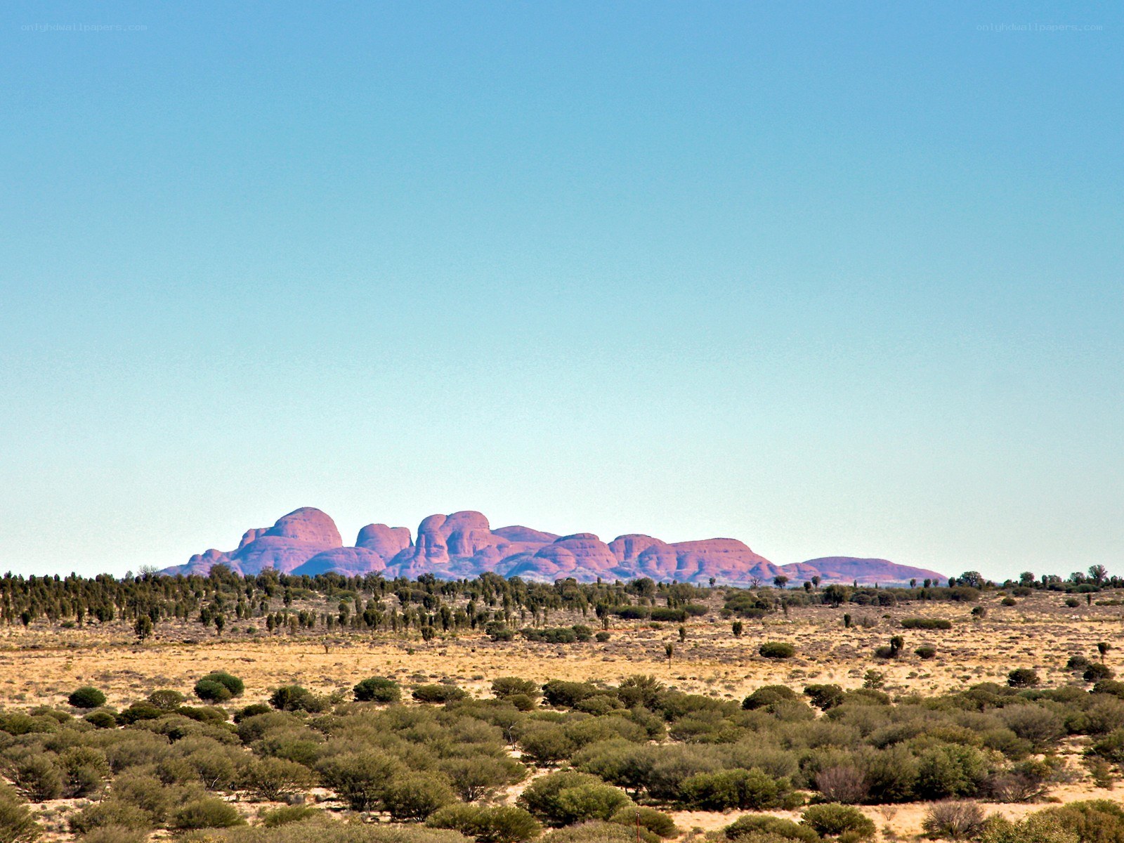 Red rock formations in desert