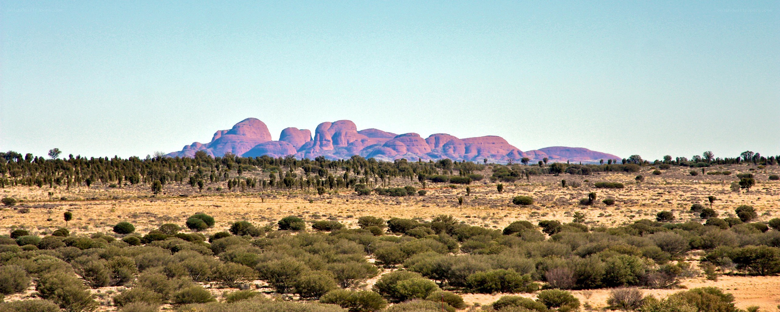 red rock formations in desert
