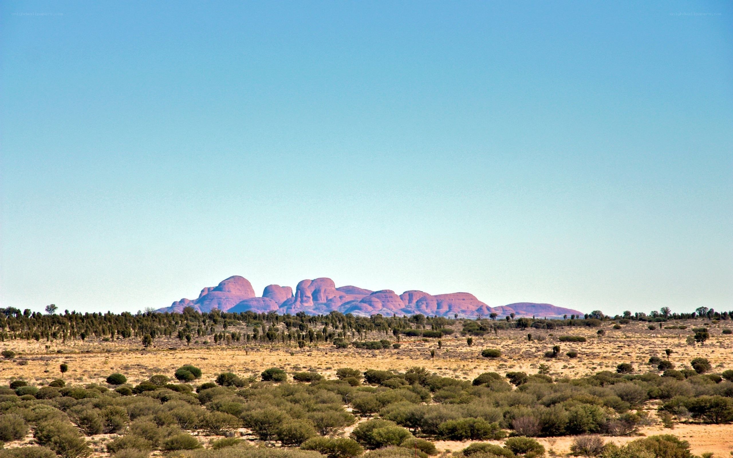 Red rock formations in desert