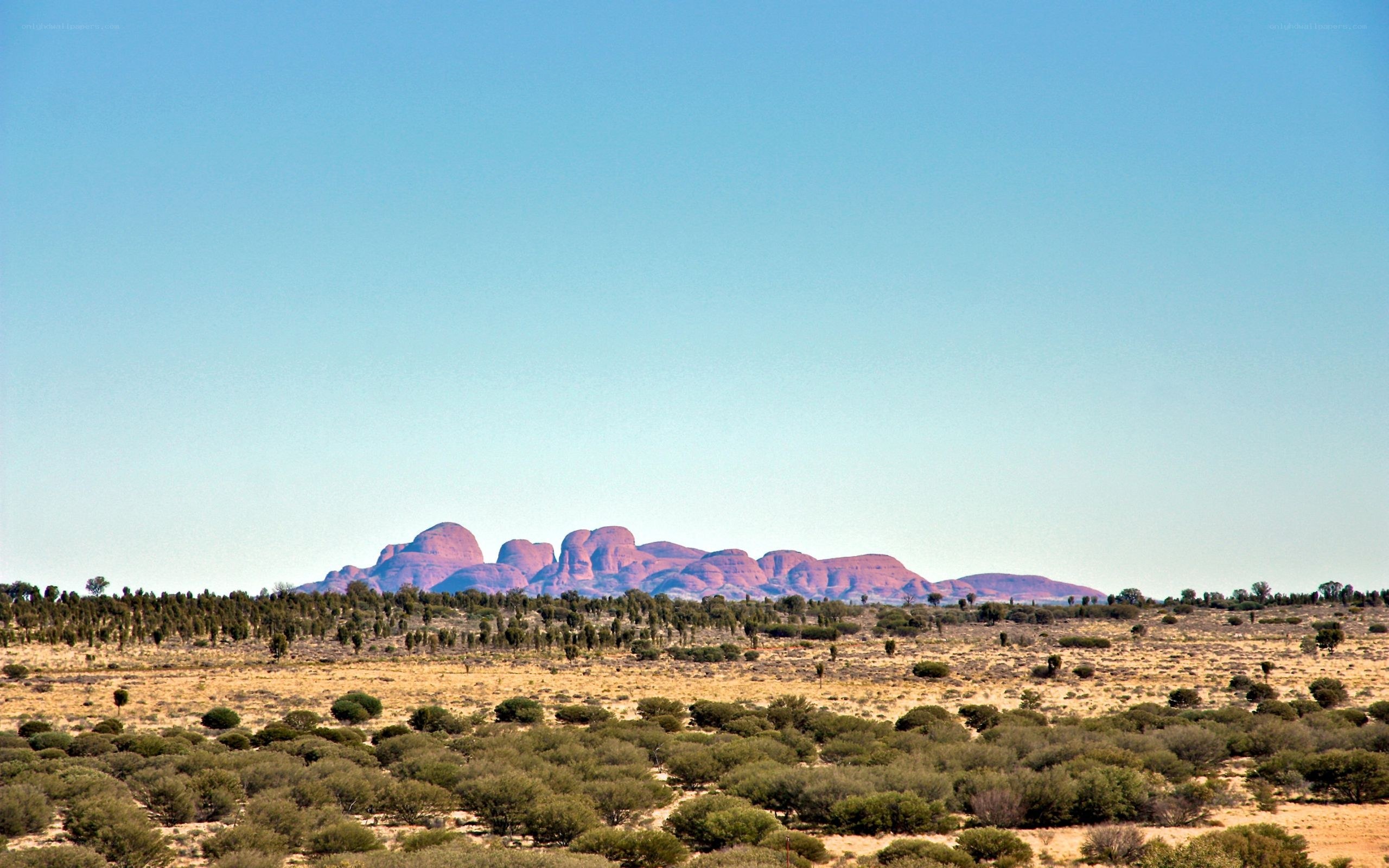 Red rock formations in desert