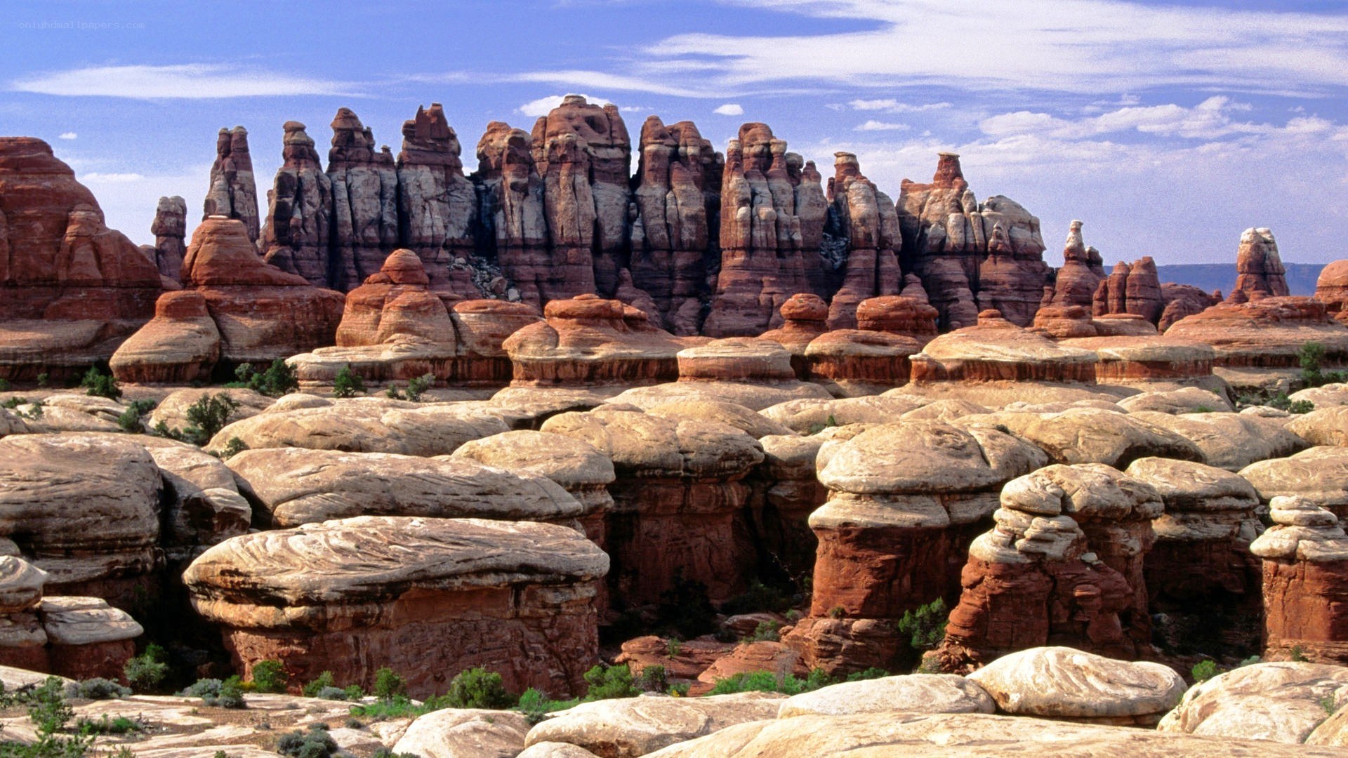 red rock formations in desert