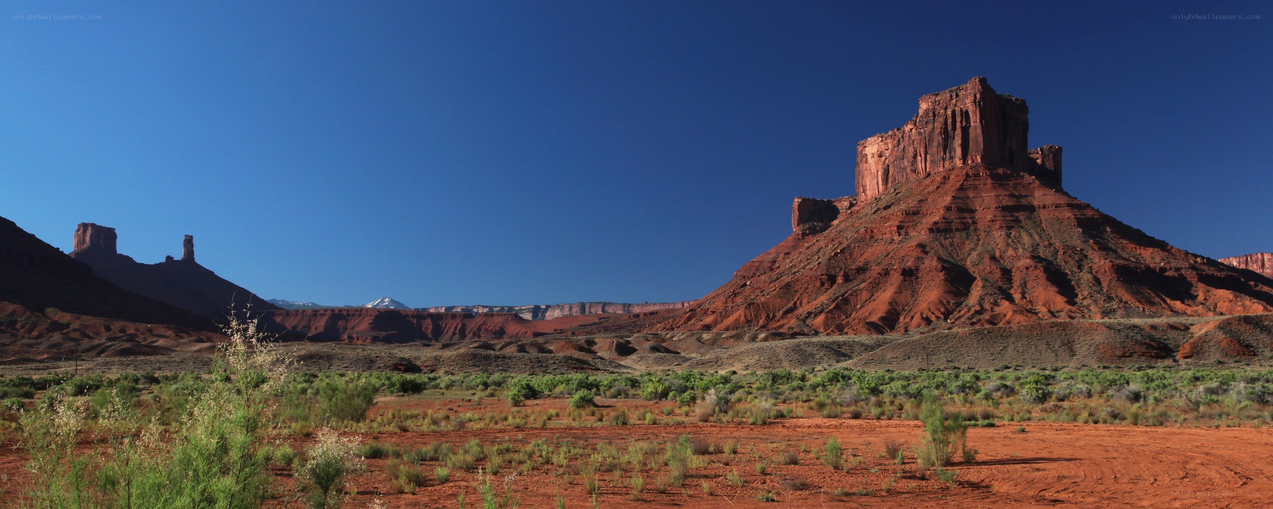 Red rock formations in desert landscape