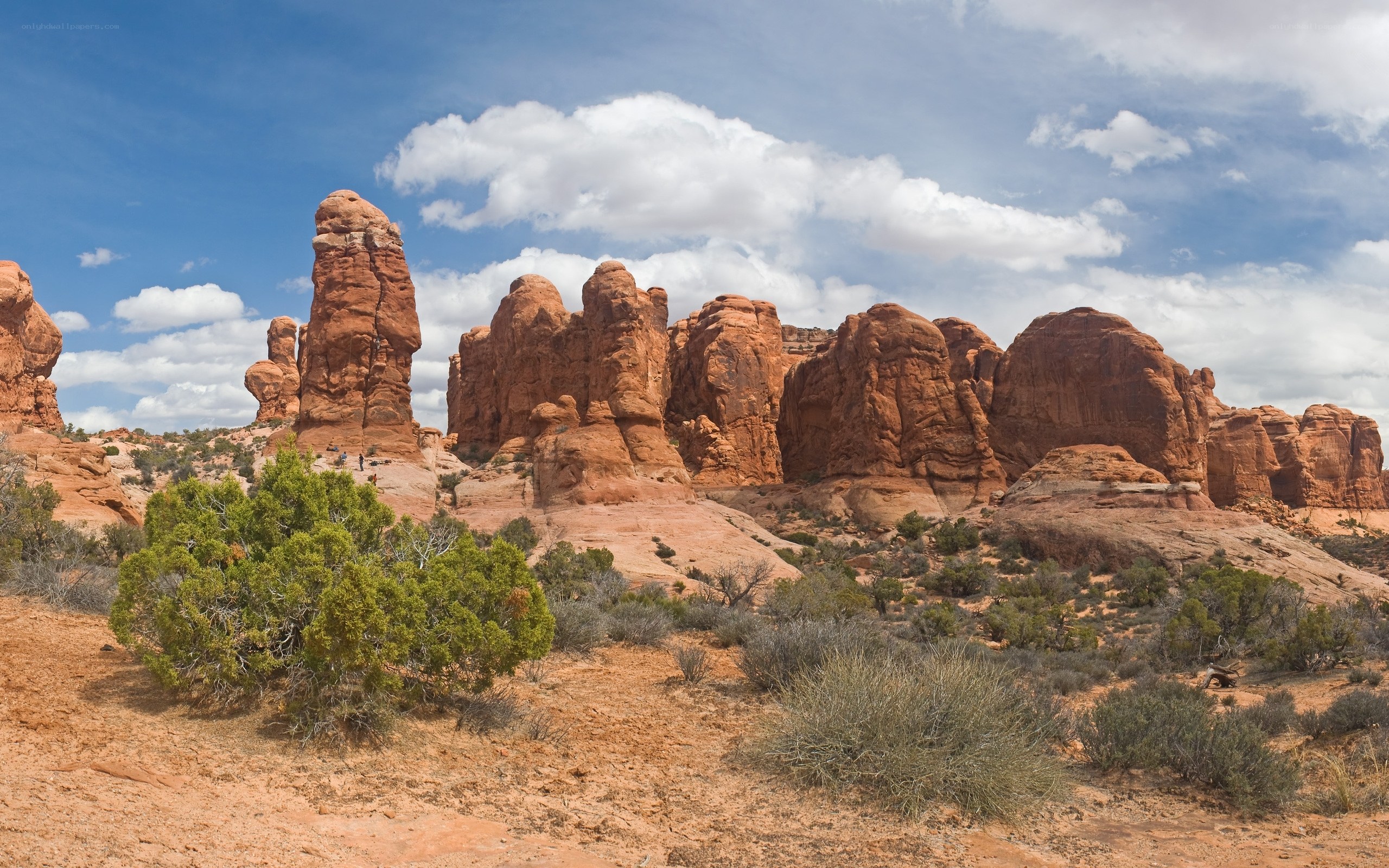 Red rock formations in desert