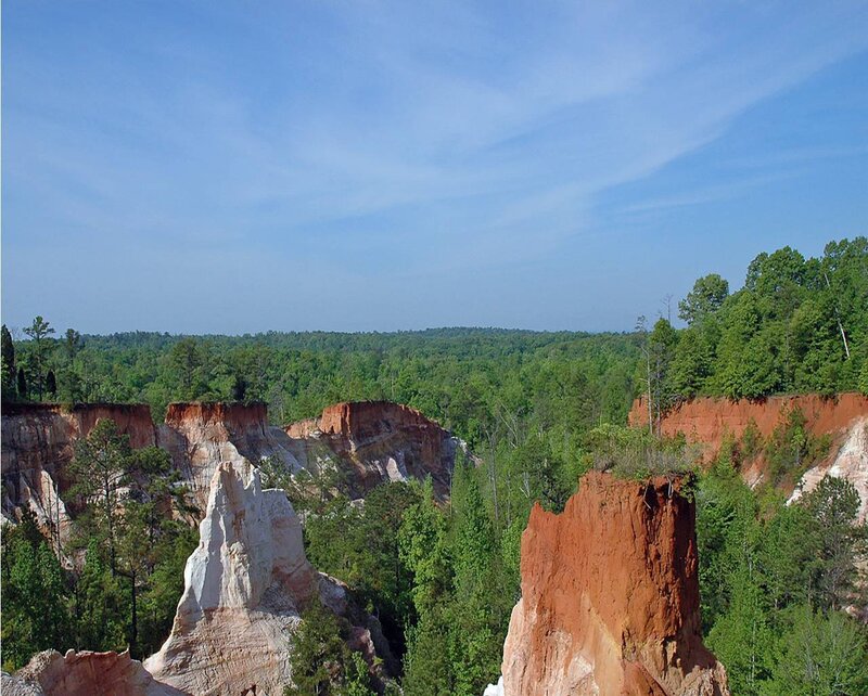 Red rock formations in forest