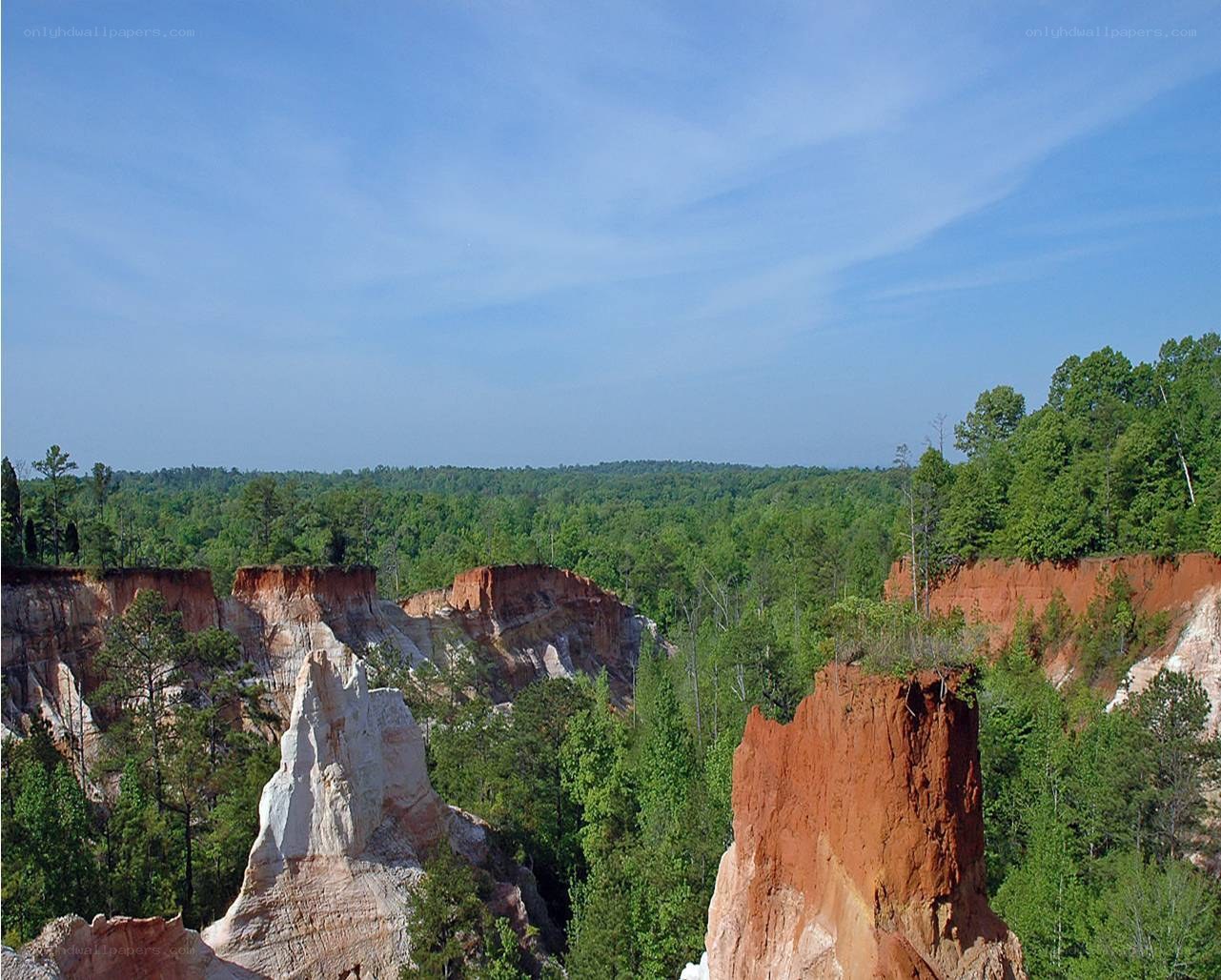 Red rock formations in forest