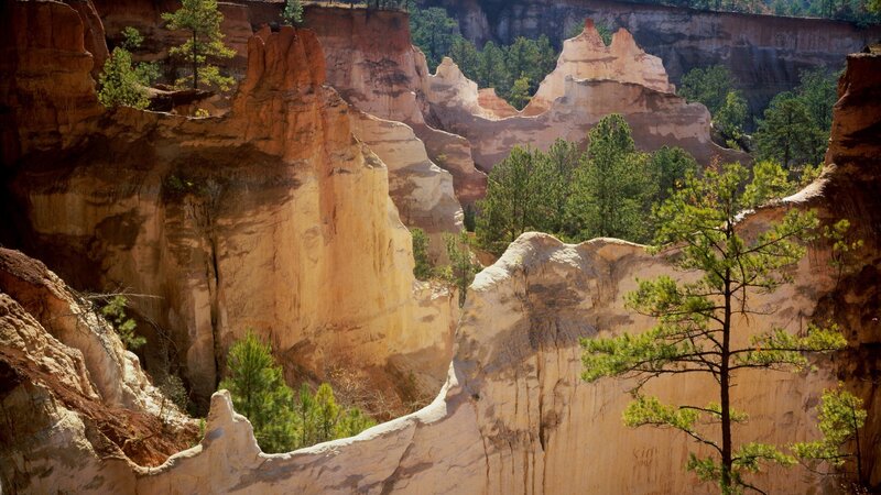 Red Rock Formations — Orange, Dramatic, Afternoon, Photograph, Trees