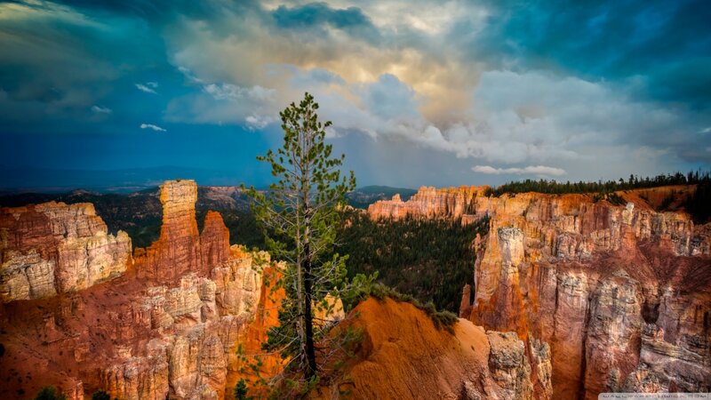 Red Rock Formations — Orange, Dramatic, Sunset, Photograph, Tree