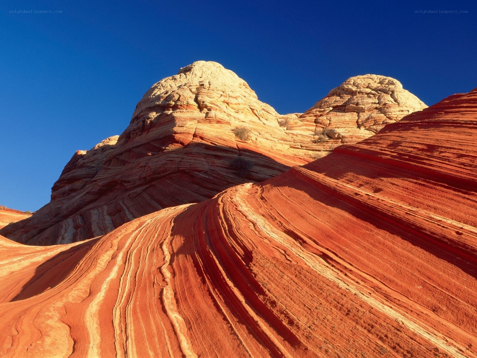 Red rock formations under blue sky