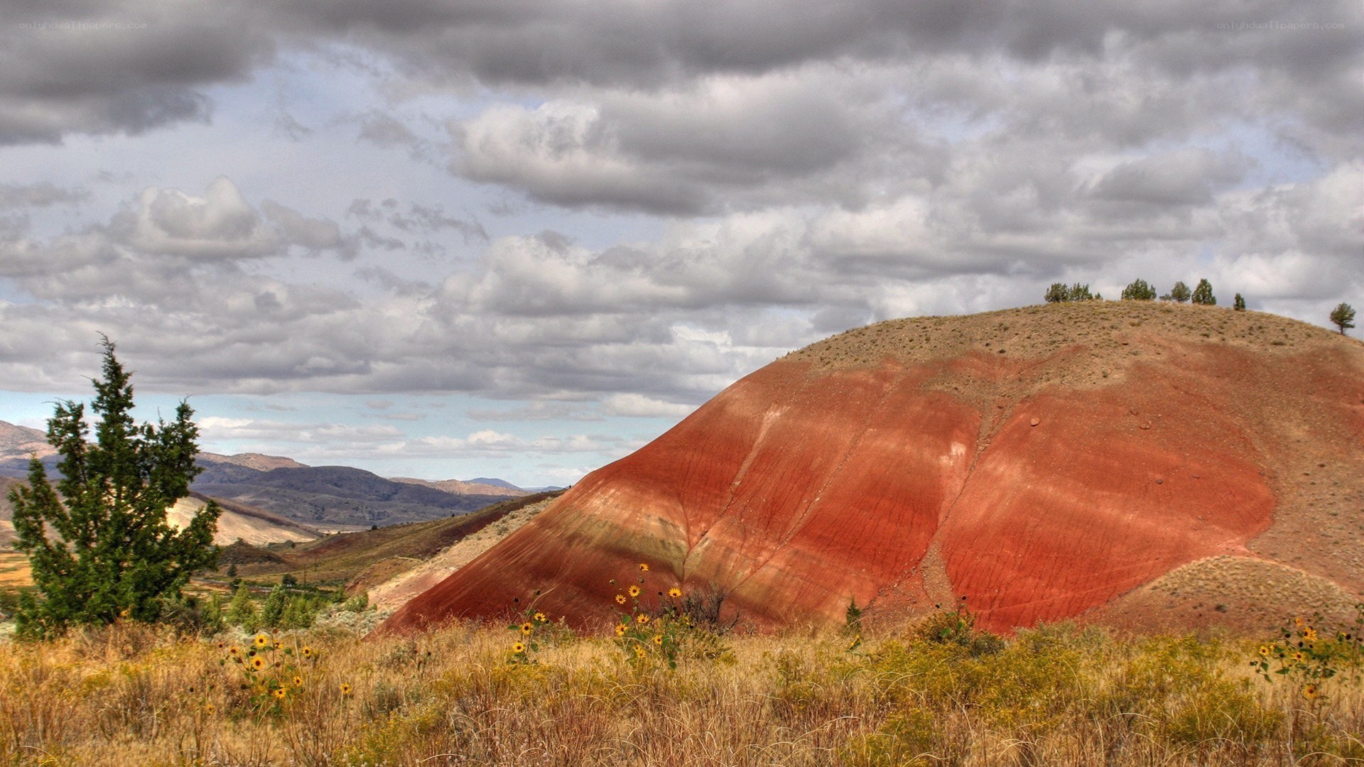 Red Rock Hill Landscape