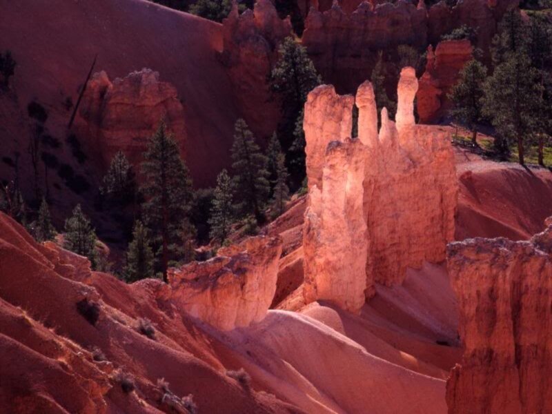 Red Rock Hoodoos — Dramatic, Sunset, Photograph, Trees