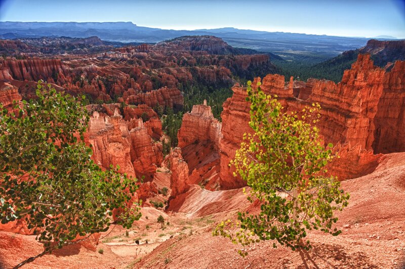 Red Rock Hoodoos in Canyon — Dramatic