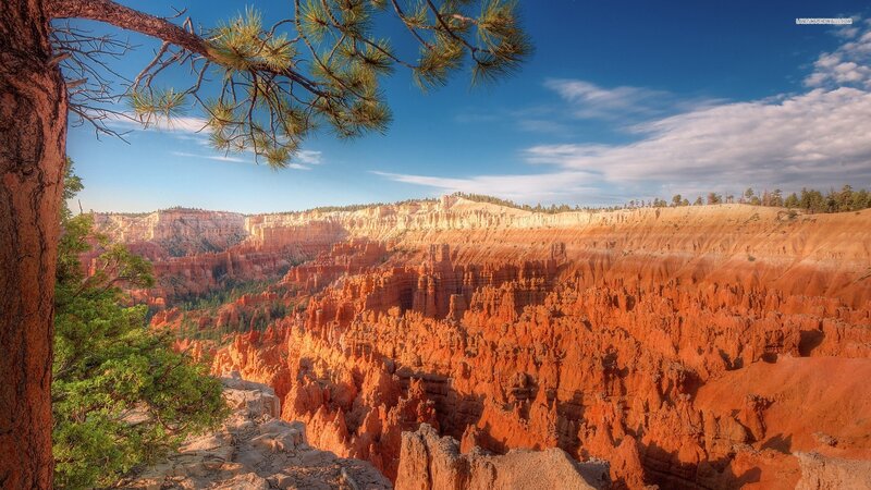 Red Rock Hoodoos in Canyon — Orange