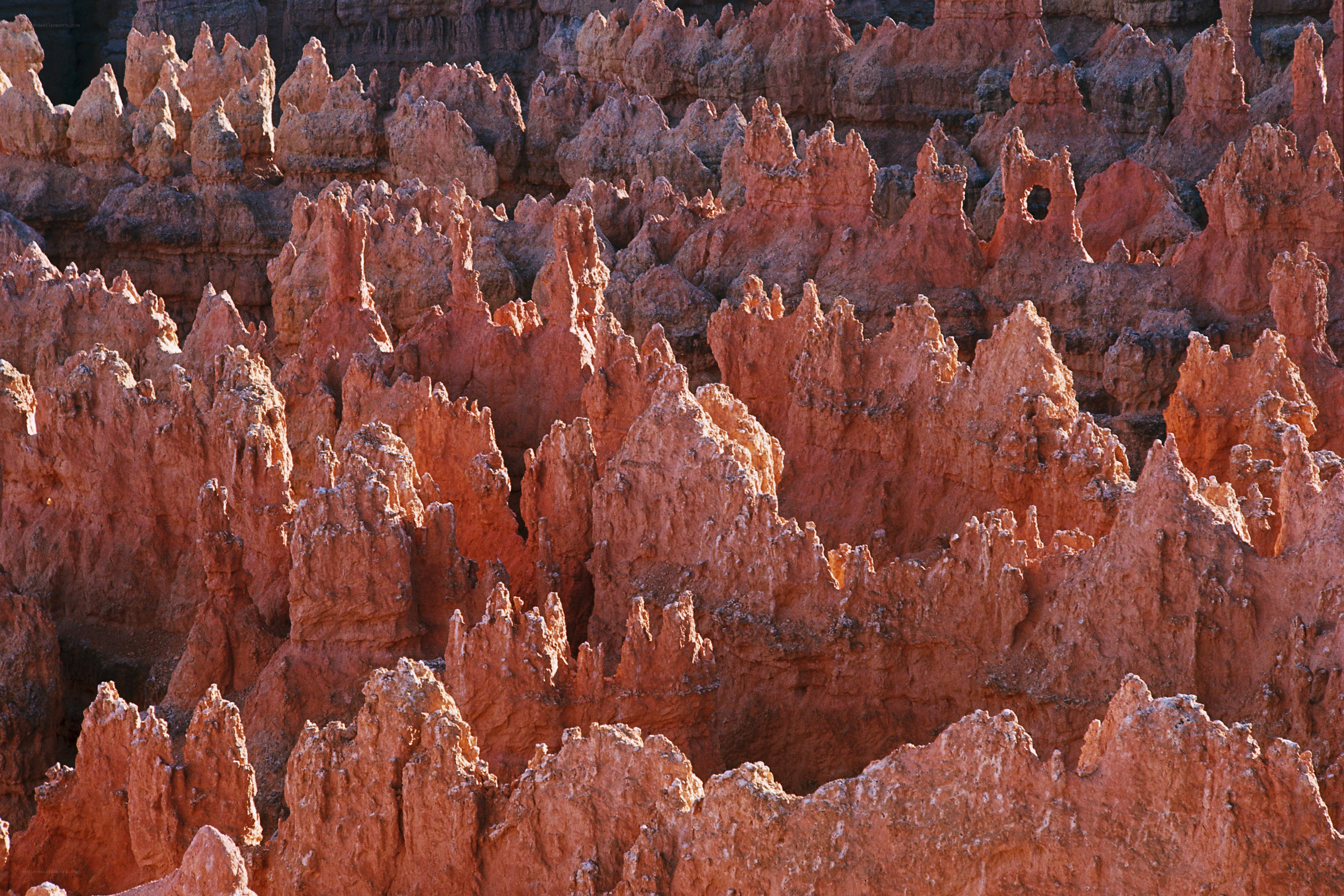 Red rock hoodoos in canyon