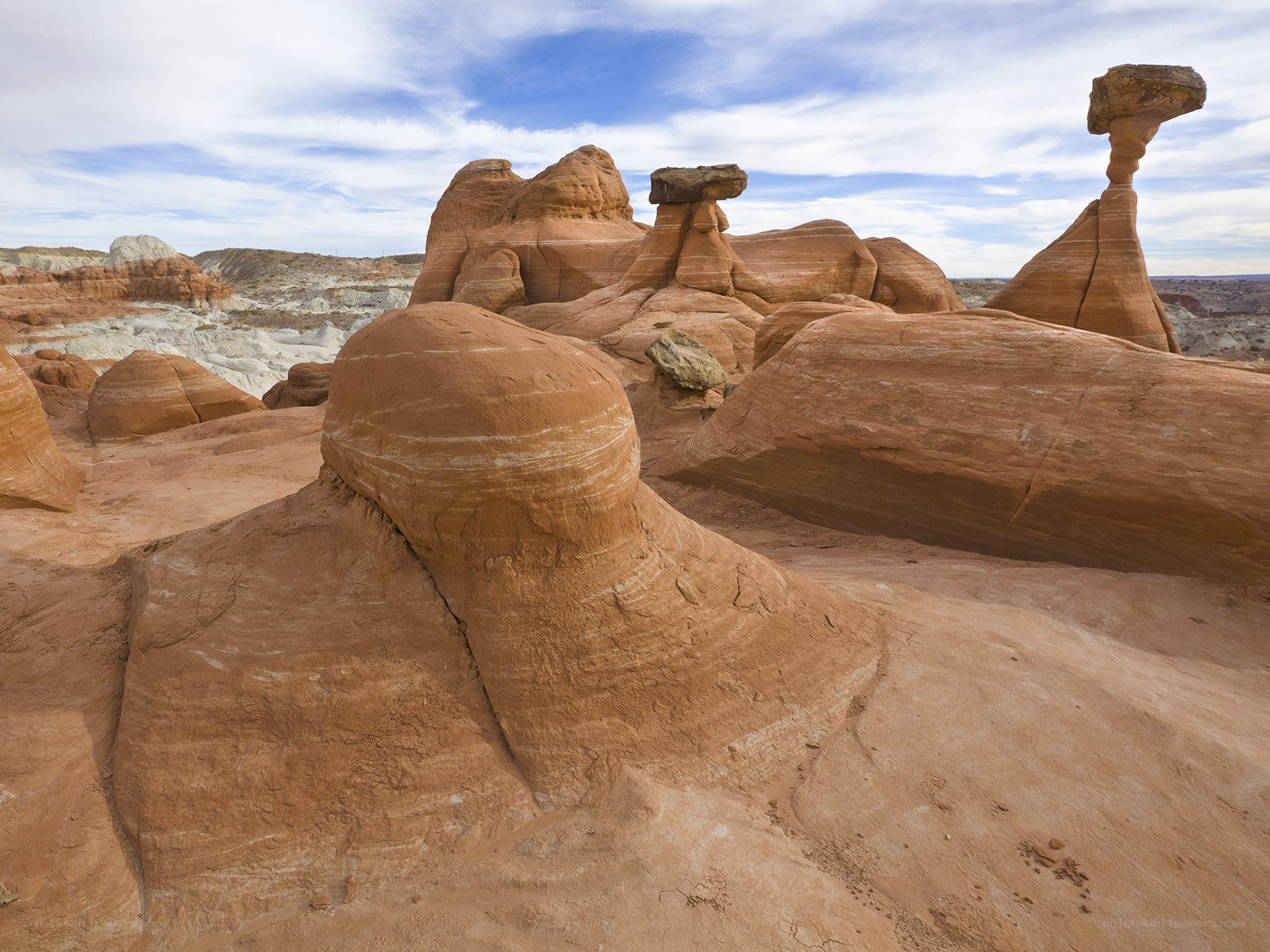 Red rock hoodoos in desert