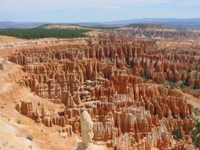 Red Rock Hoodoos — Orange, Arid, Afternoon, Photograph, Canyon, Trees