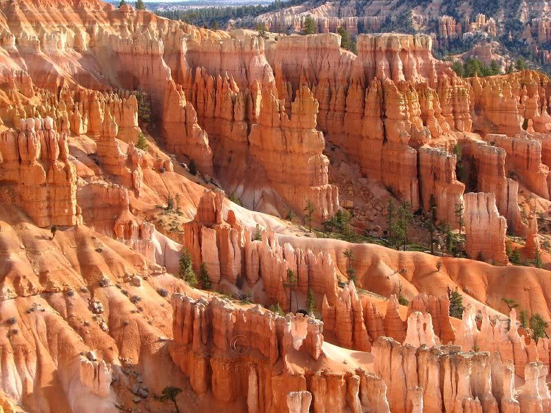 Red Rock Hoodoos — Orange, Dramatic, Afternoon, Photograph, Canyon, Trees
