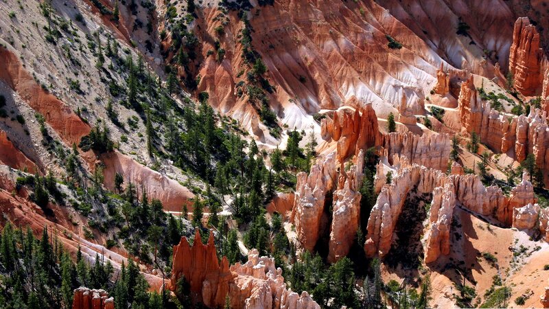 Red Rock Hoodoos — Orange, Dramatic, Afternoon, Photograph, Trees, Canyon, Rock Formations