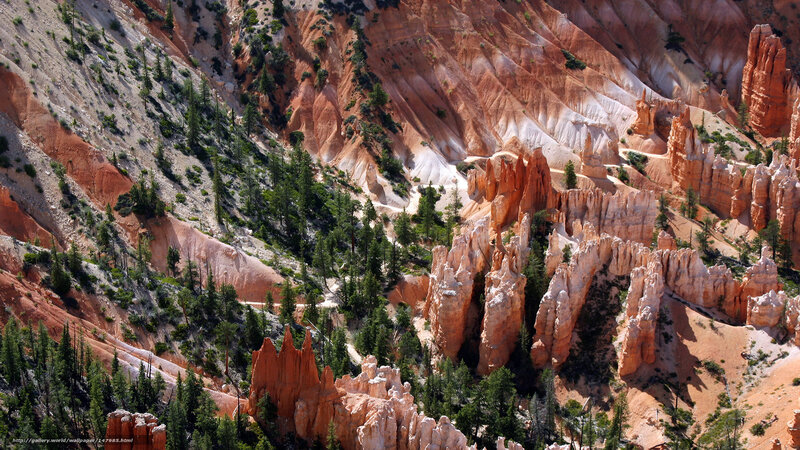 Red Rock Hoodoos — Orange, Dramatic, Afternoon, Photograph, Trees, Canyon