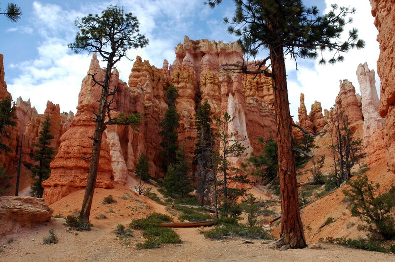 Red Rock Hoodoos — Orange, Dramatic, Afternoon, Photograph, Trees