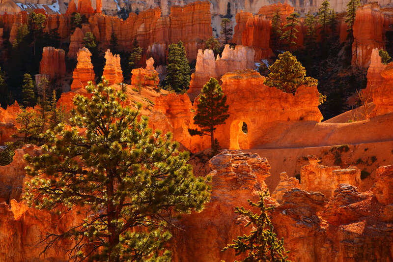 Red Rock Hoodoos — Orange, Dramatic, Sunset, Photograph, Pine Trees