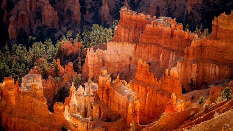 Red Rock Hoodoos — Orange, Dramatic, Sunset, Photograph, Trees, Canyon, Sandstone