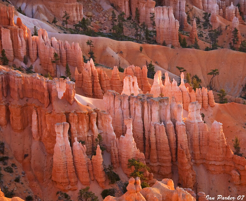 Red Rock Hoodoos — Orange, Dramatic, Sunset, Photograph, Trees, Canyon