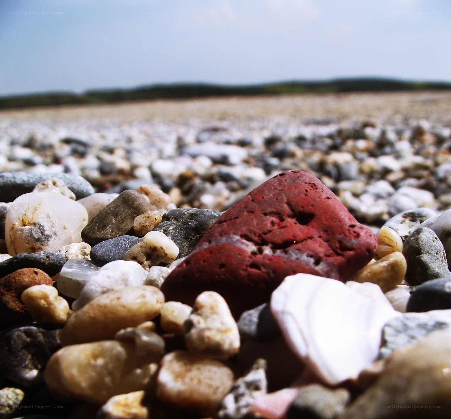 Red rock on pebble beach