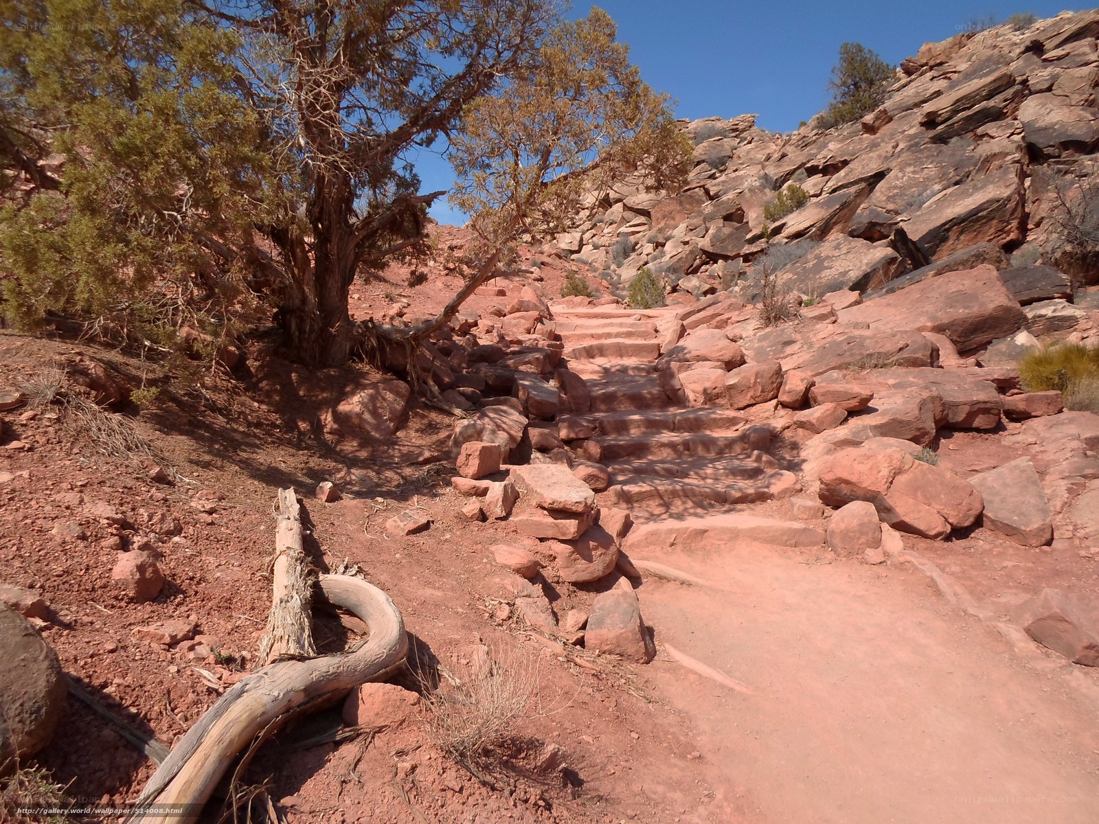 Red rock trail with stone steps