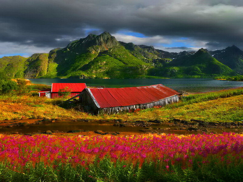 Red-roofed Barns by Lake