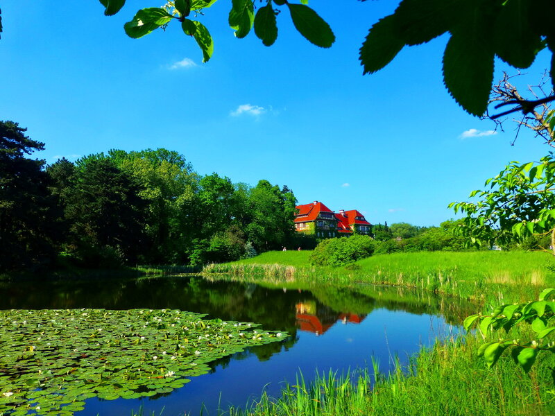 Red-roofed House by Pond