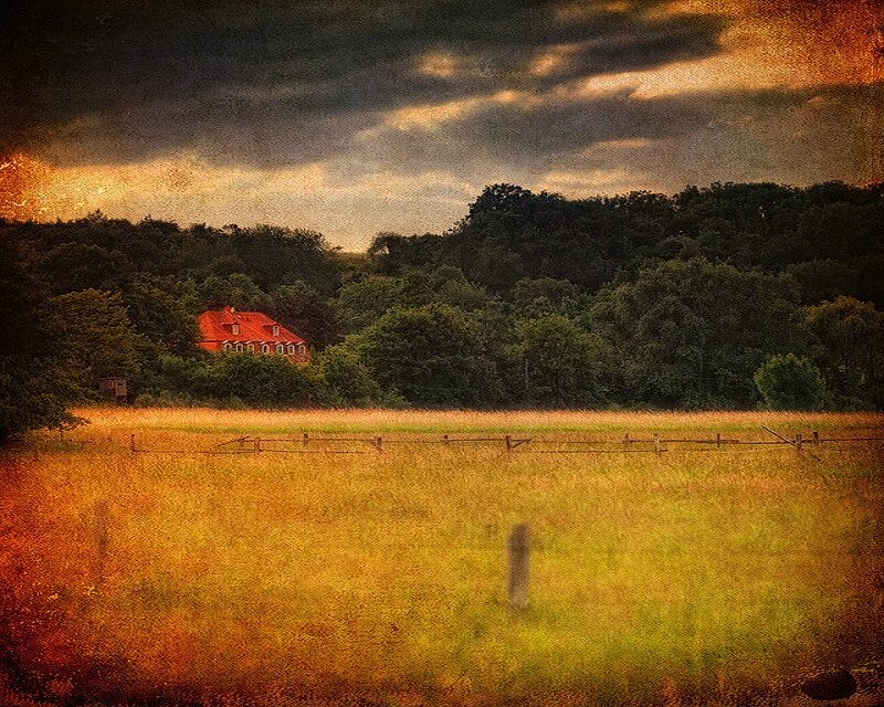 Red-roofed House in Field
