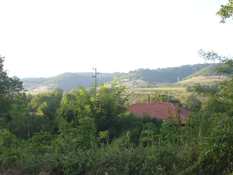 Red-roofed House in Valley