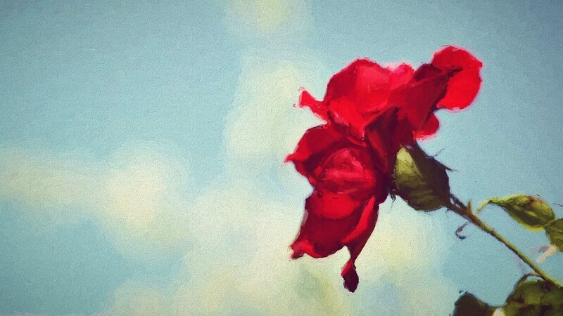 Red Rose Against Sky — Serene, Painting