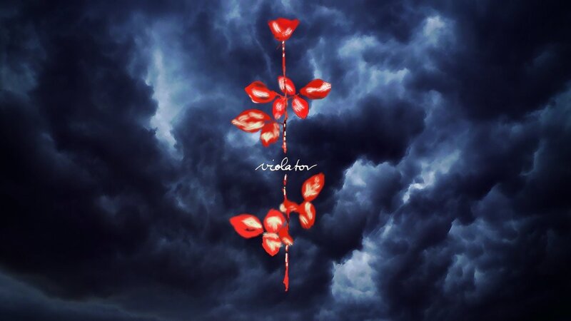 Red rose against stormy sky