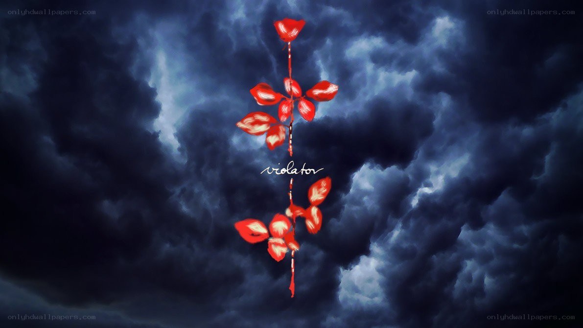 Red rose against stormy sky