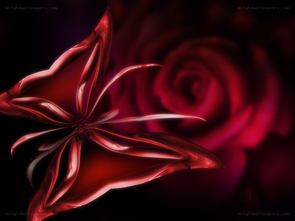 Red rose and abstract flower