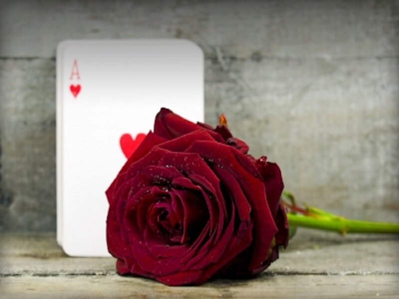 Red Rose and Ace of Hearts