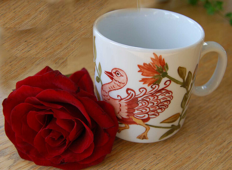 Red Rose and Bird Mug