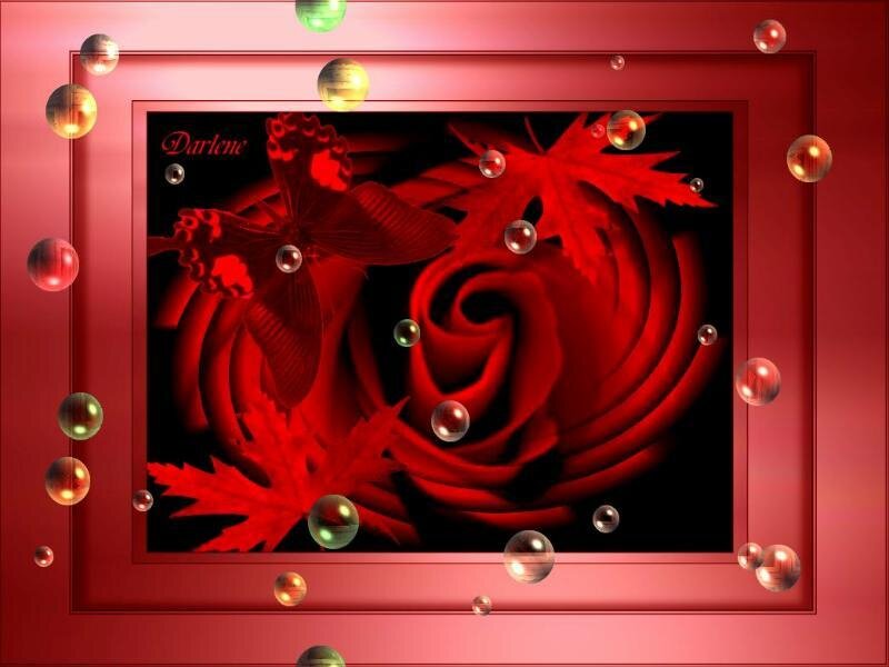 Red rose and butterfly artwork
