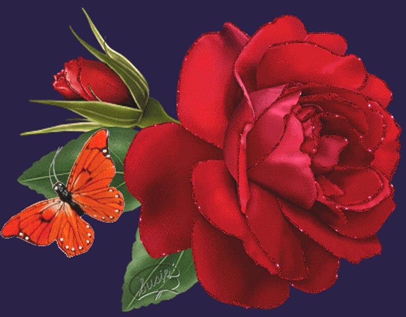 Red Rose and Butterfly — Calm, Digital Art