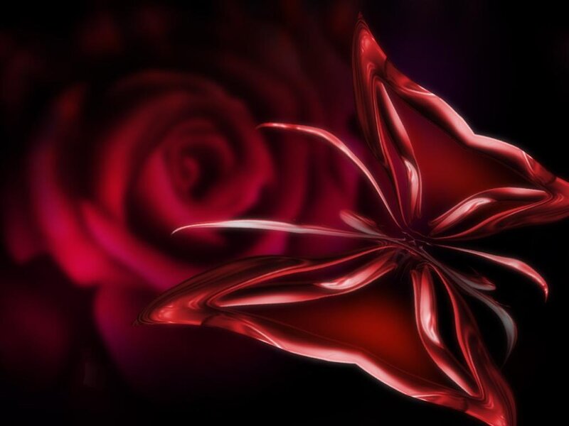 Red Rose and Butterfly
