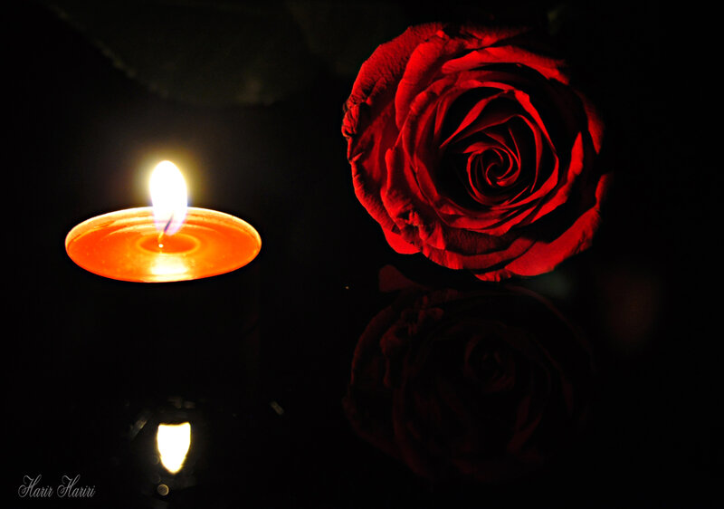 Red Rose and Candle — Black, Dramatic