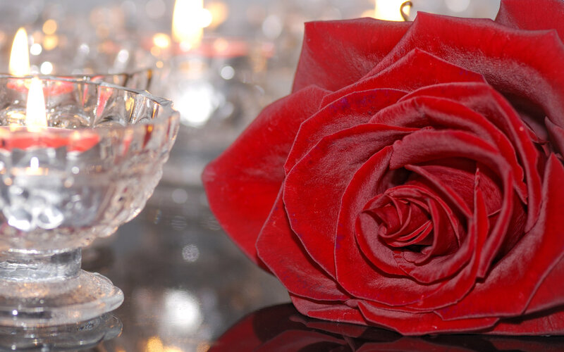 Red Rose and Candle — Romantic, Night, Photograph